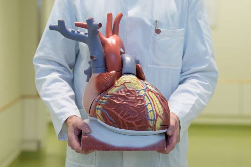 چگونه می توان از سکته قلبی جلوگیری کرد درمان سکته قلبی سکته قلبی چیست علائم بروز سکته قلبیعلائم حمله سکته قلبیعلائم سكته قلبي علائم سکته قلبی در زنان عوارض بعد از سکته قلبی نشانه های سکته قلبی