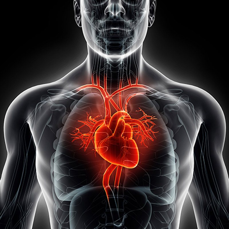 نارسایی قلبی علائم نارسایی قلبی درمان نارسایی قلبی طول عمر بیماران نارسایی قلبی انواع نارسایی قلبی نارسایی احتقانی قلب نارسایی بطن چپ نارسایی قلبی در جوانان نارسایی قلبی و تنگی نفس