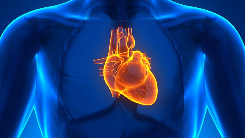اسکن هسته ای قلب چیست اسکن هسته ای قلب اسکن هسته ای قلب چگونه انجام میشود اسکن هسته ای قلب مشهد تحلیل اسکن قلب عوارض اسکن هسته ای برای اطرافیان گاما اسکن چیست تحلیل اسکن قلب